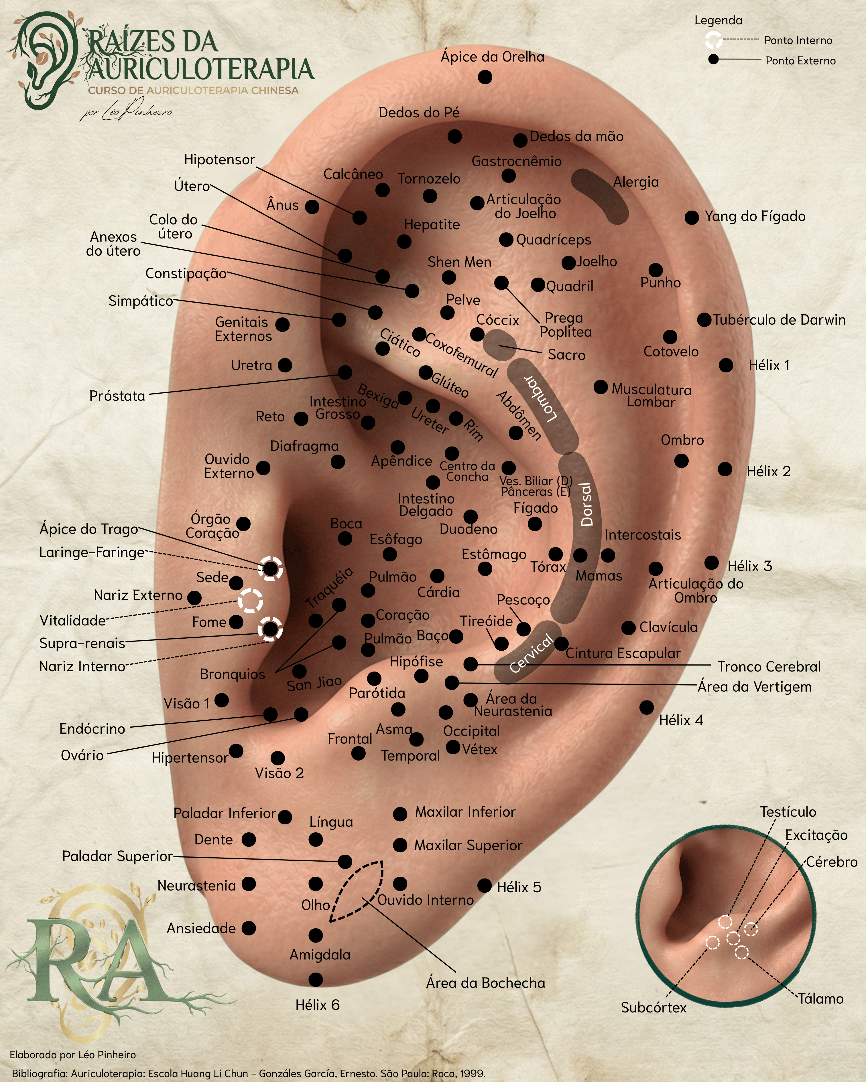 Mapa dos pontos auriculares da escola Huang Li Chun